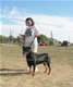 Breeder Class Females: 100 5723