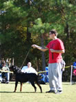 12-18 MALES: 0313 Stormee Fritz Von Kozak G