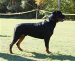 12-18 MALES: 0327 Abbo Von Landschaft SG1