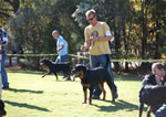 12-18 MALES: 0346 Redwood Krests Whisky G