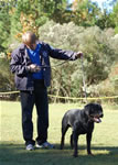 OPEN MALES: 0545 Johnsons Zeus VIII V4