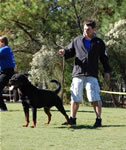 OPEN MALES: 0583 Diesel Braddox Von Rivendell V2