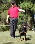 OPEN MALES: 0584 Warlord Erwin Rommel Von Z Max V1