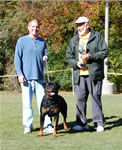 OPEN MALES: 0601 Iggy Vom Blaurasen V3