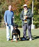 OPEN MALES: 0602 Iggy Vom Blaurasen V3