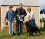 0863 Siegerin Kostlich Youre My Goldie V Ursa  Siegerin Class Females V1