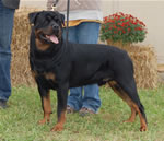 0902 Jager Vom Blaurasen Working Class Males V1