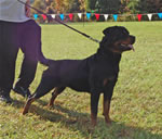 0329 Eva V Landschaft SG