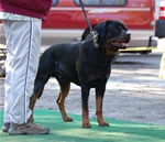 1722 Aaron Von Herrschaft V