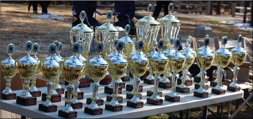 SARK Sieger Show pictures, Sieger Show photography, charleston sieger show pictures, rottweiler pictures, rottweiler photos