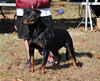 0904 Atina Von Hause Kigen SG