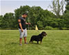 Gebrauschund females: 0691 Jetta Von Der Rod V1 Siegerin