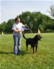 Open males: : 0584 Neo Von Kafthaus SG