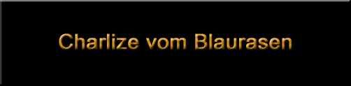 Charlize vom Blaurasen 