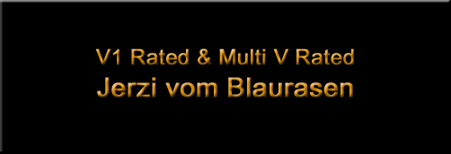 Jerzi vom Blaurasen - rottweiler female