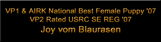 Joy vom Blaurasen | Rottweiler Female