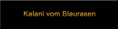 Kalani vom Blaurasen