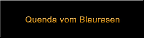 Quenda vom Blaurasen, female rottweiler