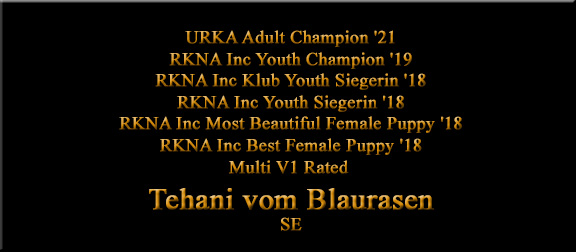 Tehani vom Blaurasen