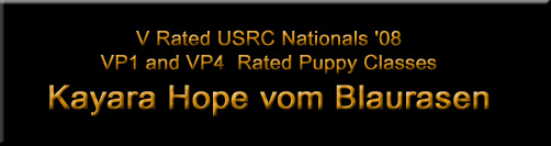 Kayara Hope vom Blaurasen, female rottweilers
