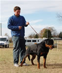 12-18 MONTH MALES: 0922 Zeppelin Von Landschaft SG4