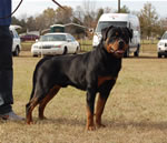 12-18 MONTH MALES: 0929 Zeppelin Von Landschaft SG4