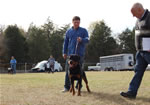 12-18 MONTH MALES: 0933 Zeppelin Von Landschaft SG4