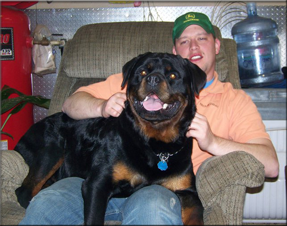 Inkaraz vom Blaurasen, rottweiler puppies