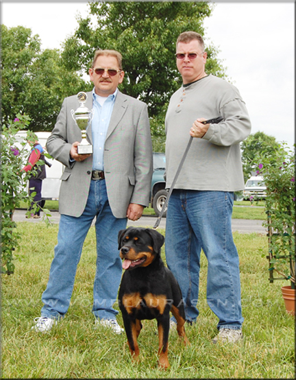 Katie vom Blaurasen - Rottweiler 