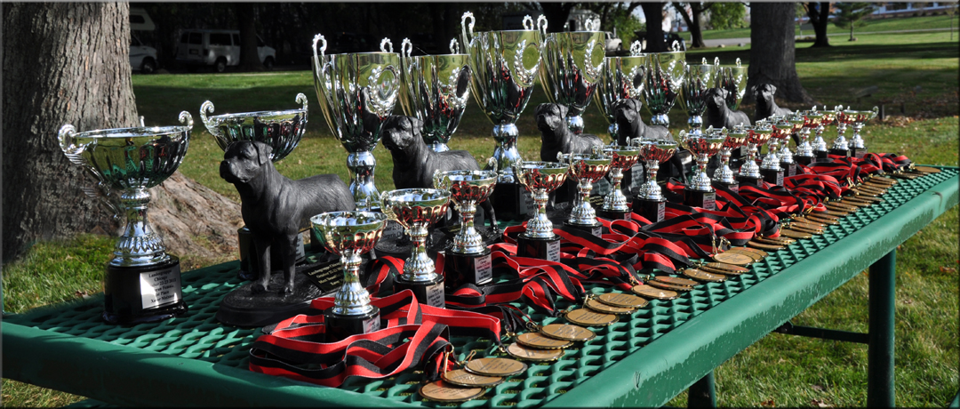 LANDESGRUPPE CHICAGO 2011 PICTURES