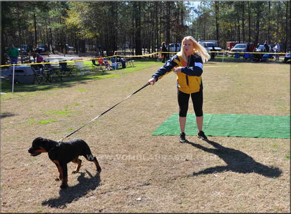 Charlize vom Blaurasen Sire: Muck vom Blaurasen Dam: Joy vom Blaurasen