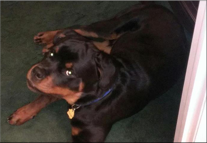 Cuyler vom Blaurasen