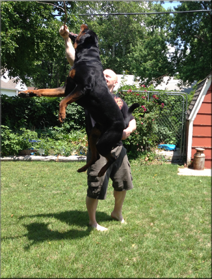 X Crixus vom Blaurasen