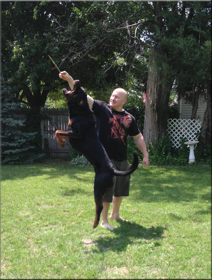 X Crixus vom Blaurasen