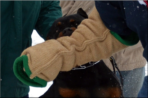 Xandra vom Blaurasen |  Muck vom Blaurasen x Katie vom Blaurasen