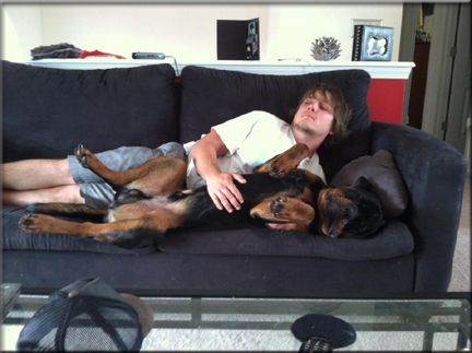 Bieber vom Blaurasen