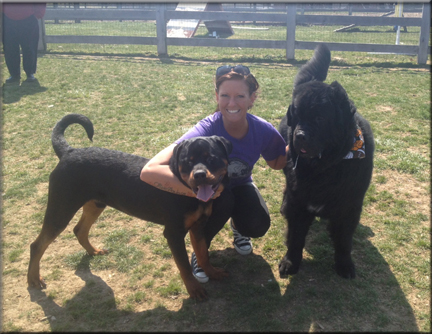 Bieber vom Blaurasen