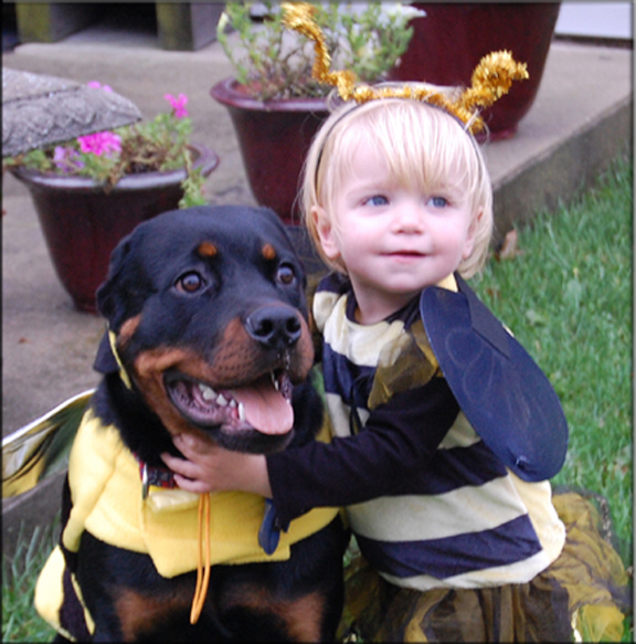 Panzer vom Blaurasen