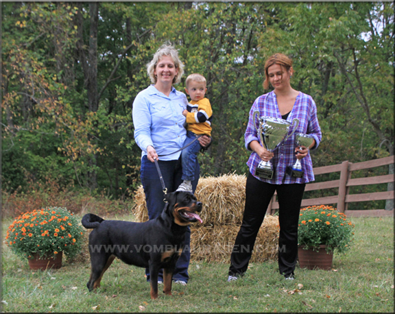 Palin vom Blaurasen, female rottweilers