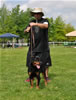 Rottweiler puppies 4-6 mths: 0367 Sonota Vom Vollenhaus VP4