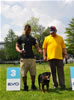 Rottweiler puppies 4-6 mths: 0405 Onda Von Der Barrhump VP3