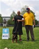 Rottweiler puppies 4-6 mths: 0407 Sonota Vom Vollenhaus VP4