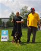 Rottweiler puppies 4-6 mths: 0408 Sonota Vom Vollenhaus VP4