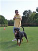 Rottweiler Youth 18-24 months: 0326 Astire Vom Hause Hudson V2