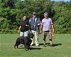 Rottweiler Champion males: 0532 Moro Timit Tor V1