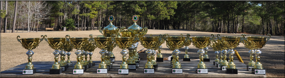 AIRK Sieger Show 2011, SARK Sieger Show pictures, SARK Sieger Show photos, rottweiler photography