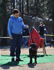 4-6 mth rottweiler females: 0109 Ketelhaus Trouble In Paradise Vom Drakkenfels VP