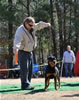 9-12 mth Rottweiler Females: 0188 Lulu Vom Tanzbar P