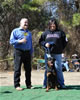 9-12 mth Rottweiler Females: 0221 Isis Von Evman VP2