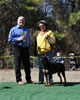 9-12 mth Rottweiler Females: 0223 Saga Vom Tanzbar VP3